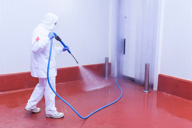 Best Pool Deck Cleaning  in Cherry Hill, VA